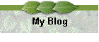 My Blog